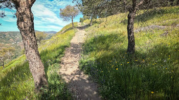 Wanderweg zum Acequia Lízar oberhalb Frigiliana