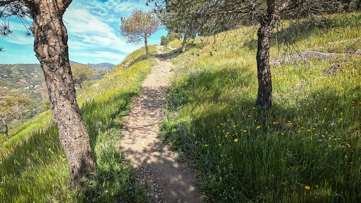 Wanderweg zum Acequia Lízar oberhalb des Ortes Frigiliana Wanderweg zum Acequia Lízar oberhalb Frigiliana