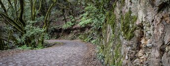 der gepflasterte Wanderweg Reventón Oscuro