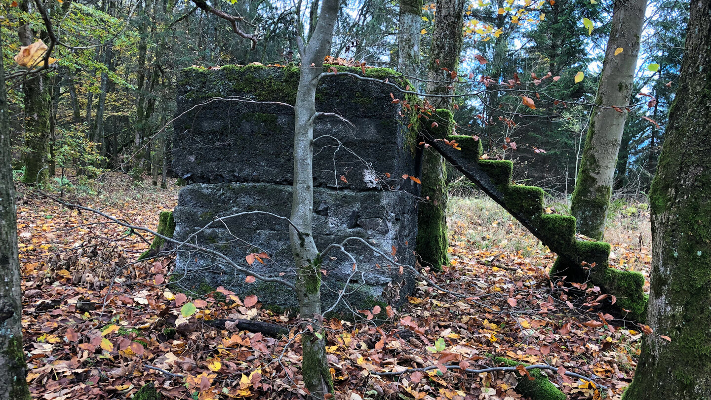 altes Gemäuer im Wald altes Gemäuer im Wald