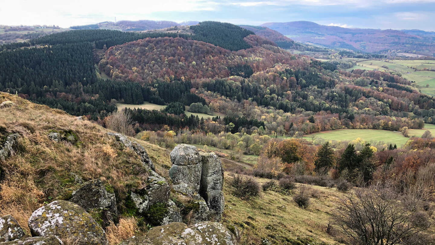 Blick zum Reesberg Blick zum Reesberg