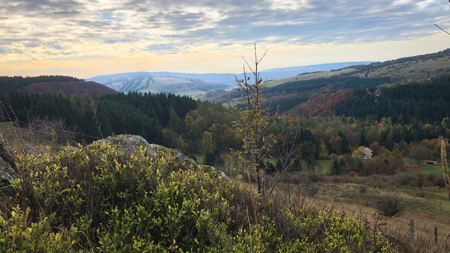 Ausblick zum Simmelsberg und zur Schwedenschanze Blick zum Simmelsberg und zur Schwedenschanze