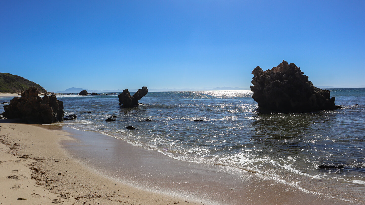 elsen mit der afrikanischen Küste im Hintergrund