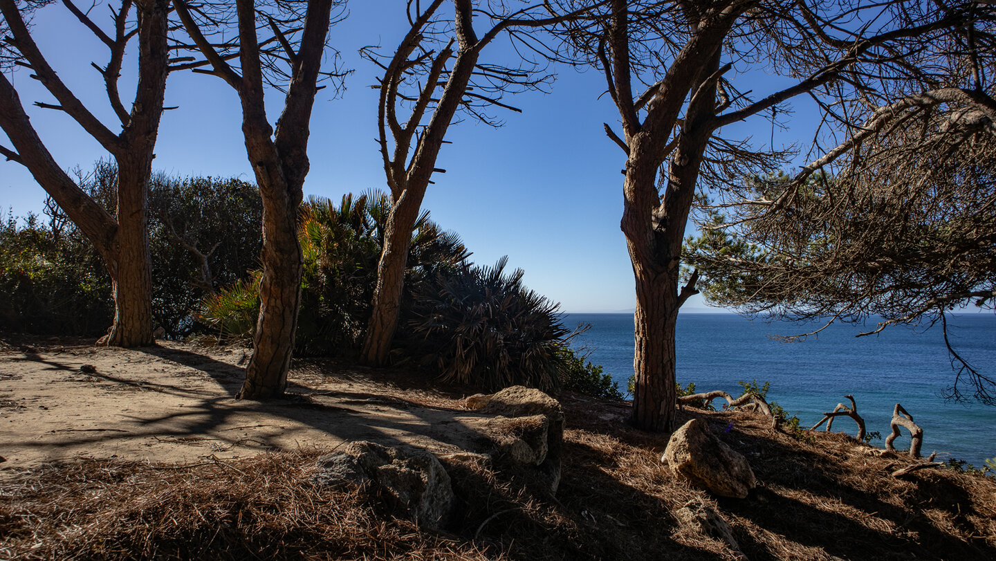 Wanderpfad durch die Pinienwälder des Parque Natural del Estrecho