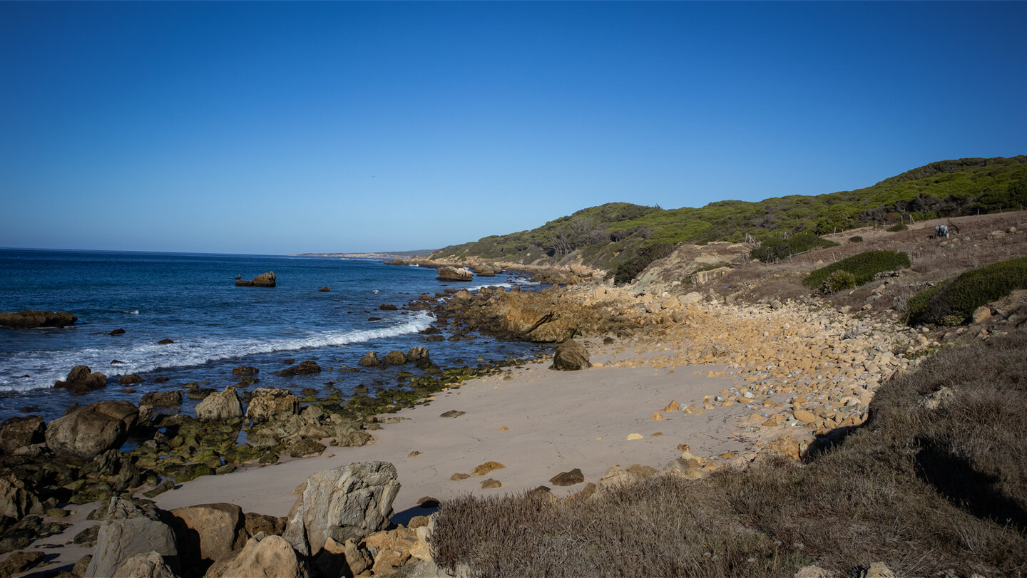Blick über die Cala Picacho bis zur Punta Camarinal bei Bolonia