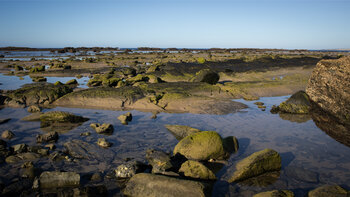 Felsen in der Gezeitenzone der Isleta Grande