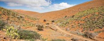 die Piste durch das Barranco de Garabato bei Agua de Bueyes