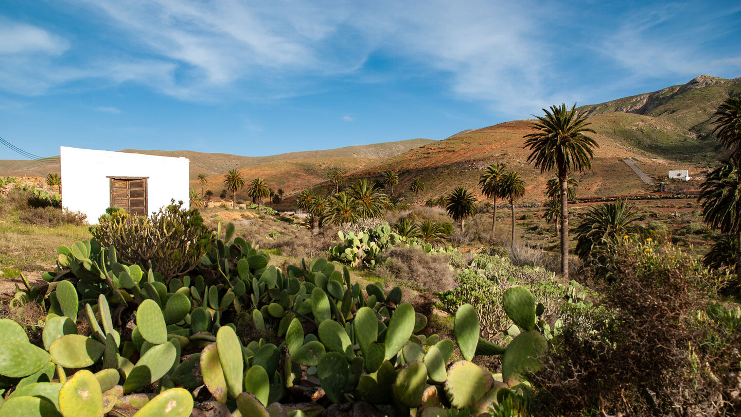 das Tal von Betancuria bei Vega de Rio Palmas