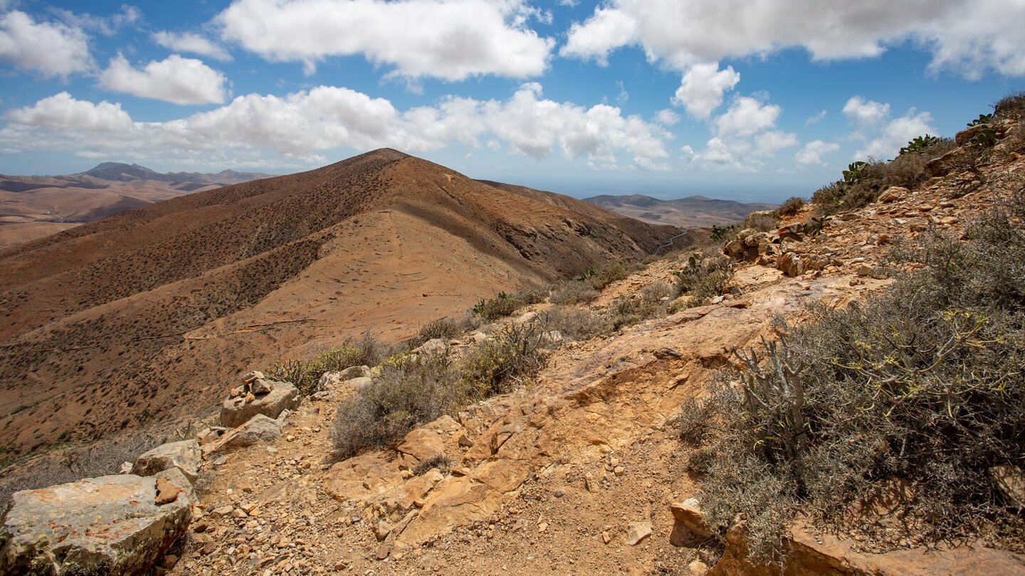 Ausblick auf den Morro Los Olivos vom Wanderweg zur Gipfelkette