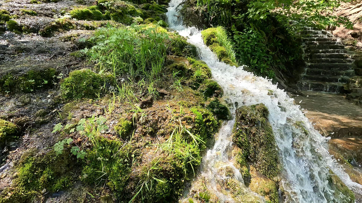 Kaskaden entlang des Steigs am Uracher Wasserfall