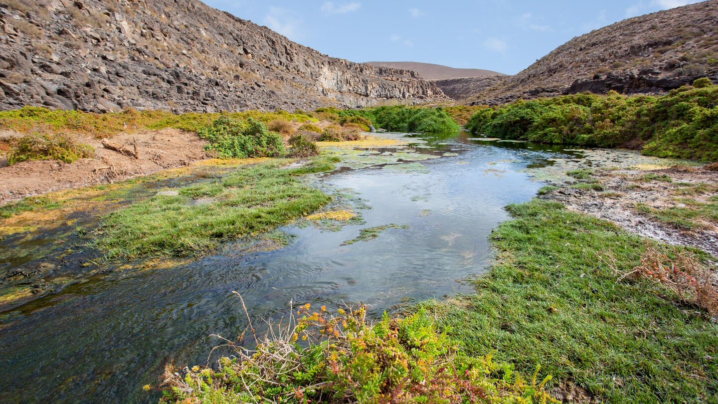 die Wanderung durchs Barranco de los Molinos wird von erstaunlich grüner Vegetation begleitet