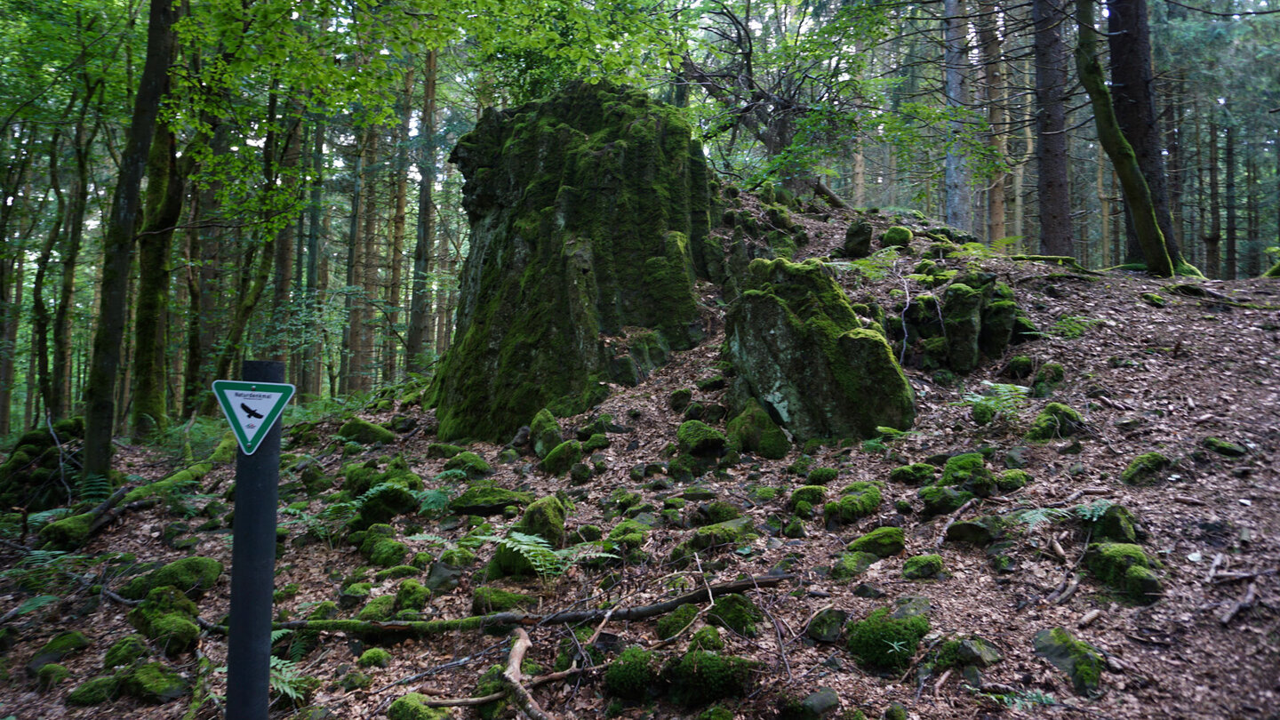 Geotop Gesicht