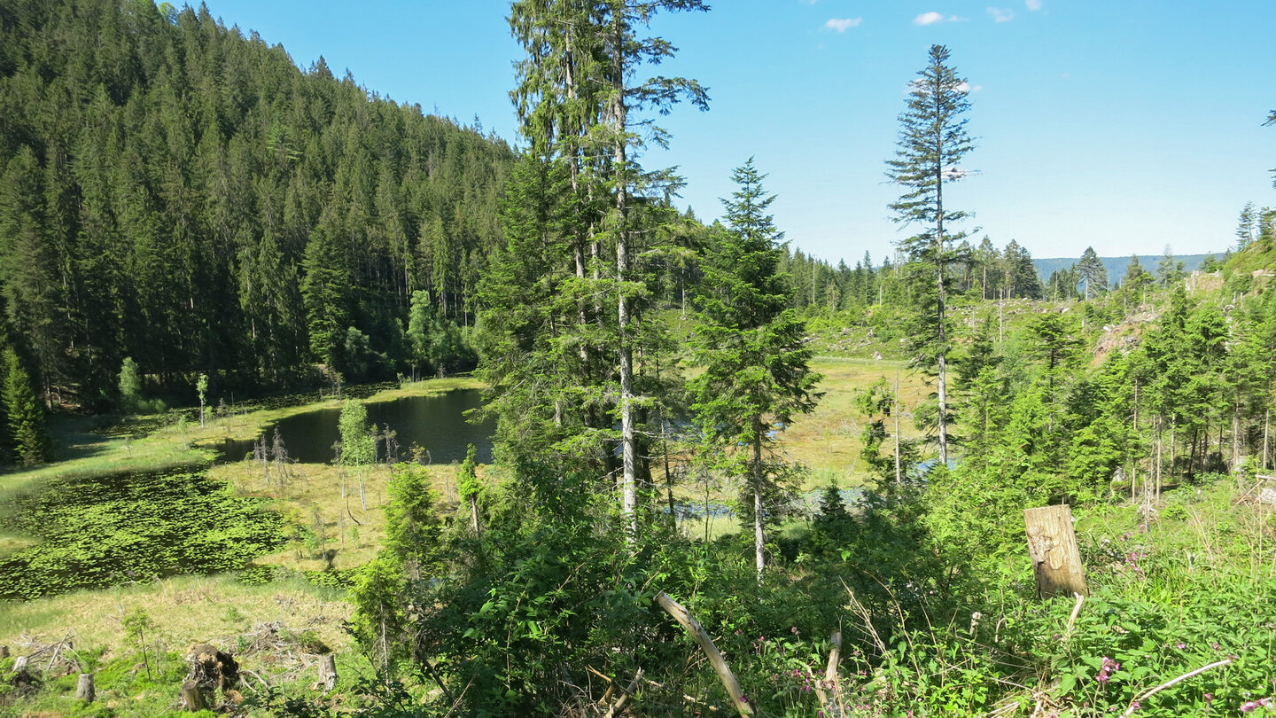 Blick über den Huzenbacher See bei der Seeumrundung