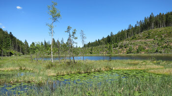 Blick über den Huzenbacher See mit Schwingrasenflächen