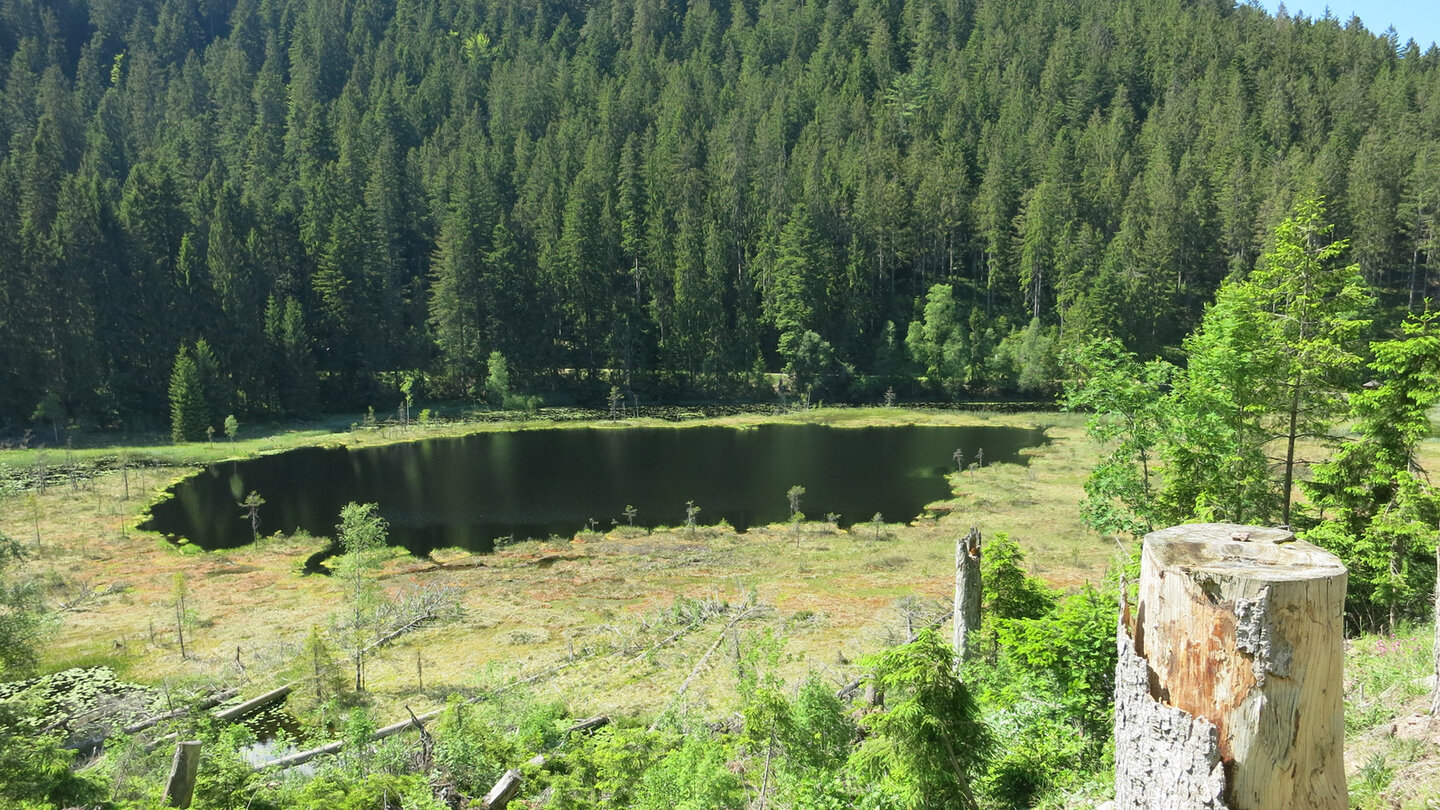 Wasserfläche des Huzenbacher Sees