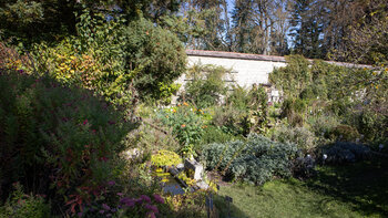 im Kräutergarten Inzigkofen gibt es 250 Pflanzenarten