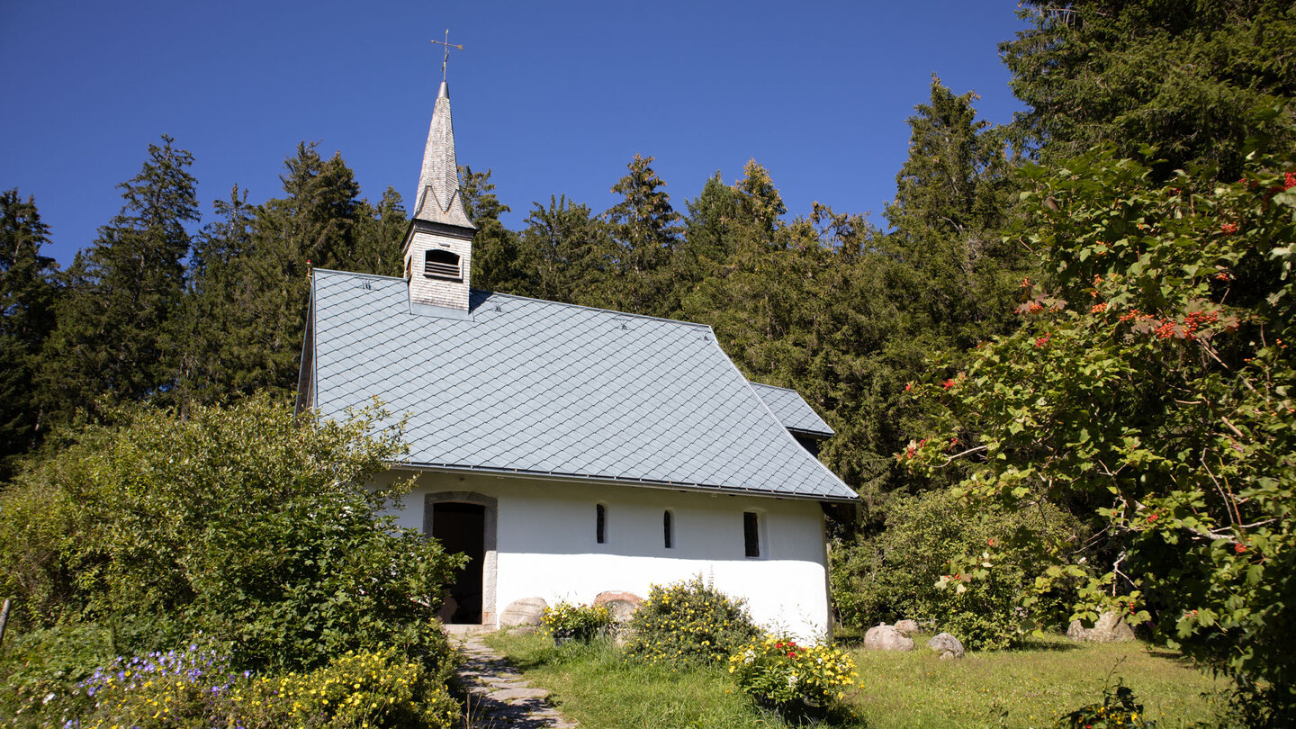 Martinskapelle an der Bregquelle malerisch umgeben von Wald