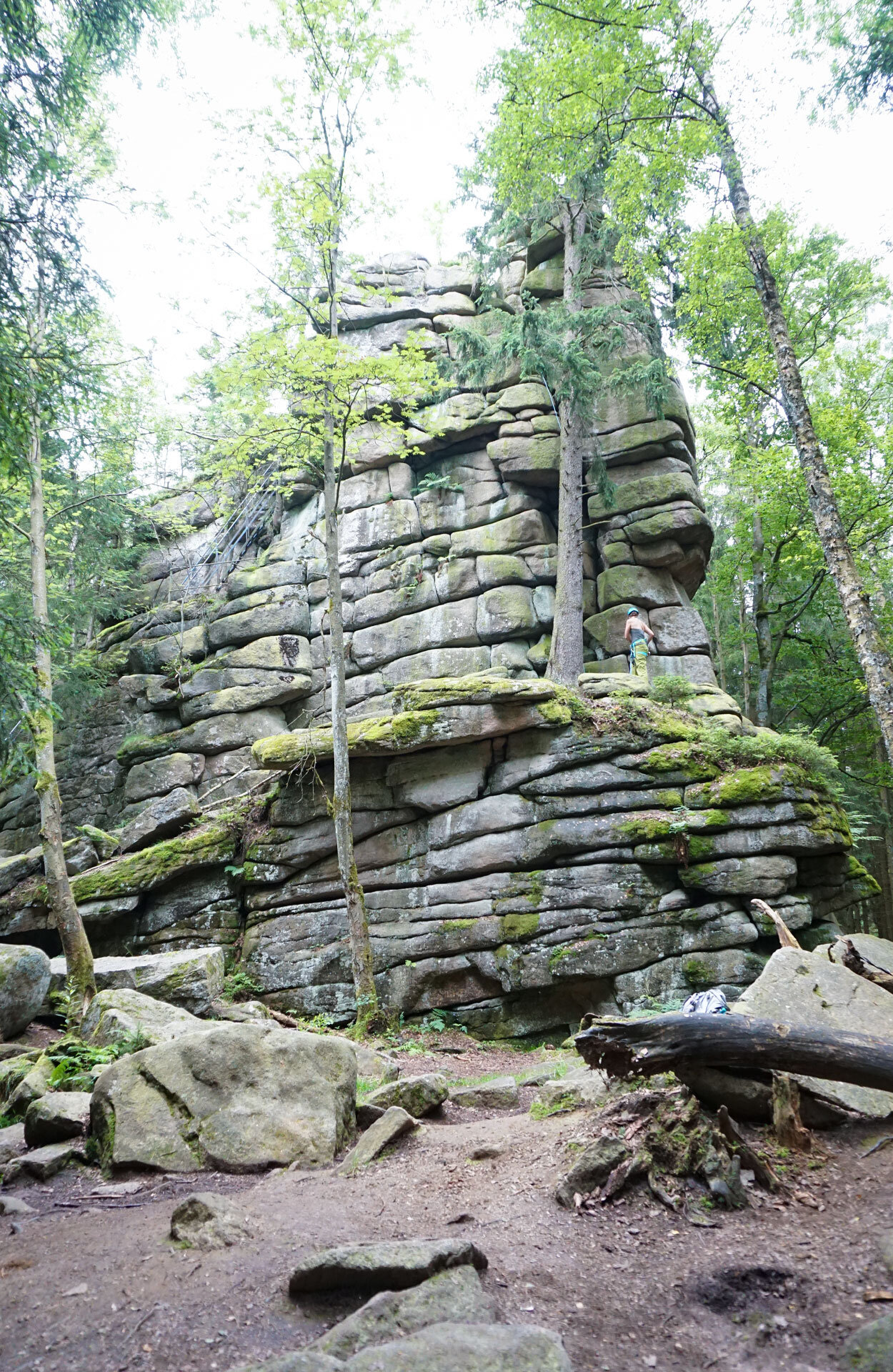 die Schnarcherklippen