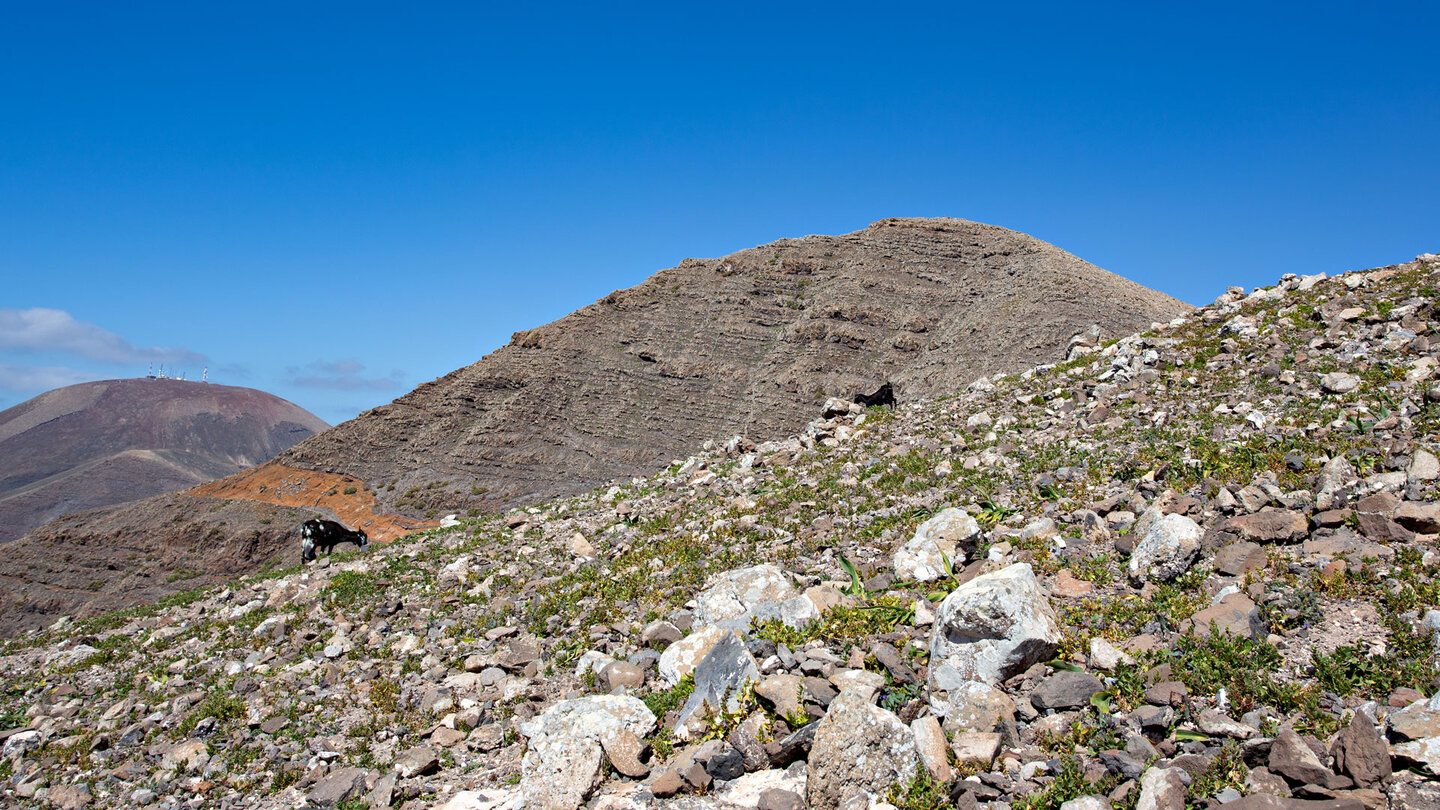 Pico Redondo und Atalaya de Femés von der Degollada del Portugés