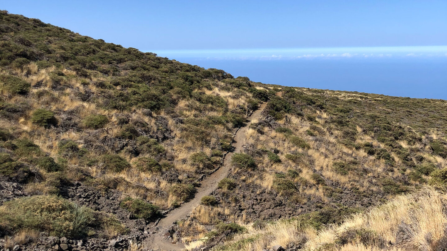 der Wanderweg PR LP 11 durch die Hochgebirgs-Vegetation am Roque de los Muchachos