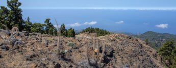 Ausblick über den Nordwesten La Palmas von Llano de las Animas