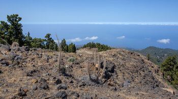 Ausblick über den Nordwesten La Palmas von Llano de las Animas