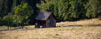 Kleiner Heuhüttenweg bei Gausbach