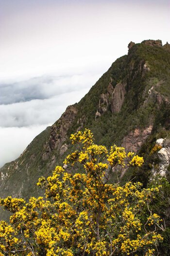 Blick Richtung Cabezo del Tejo