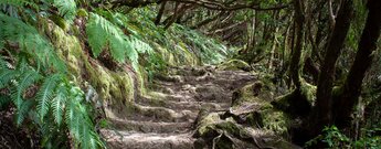 Stufen führen entlang Wanderpfaden über auf der Chinobre Wanderung