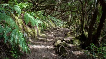 Stufen führen entlang Wanderpfaden über auf der Chinobre Wanderung