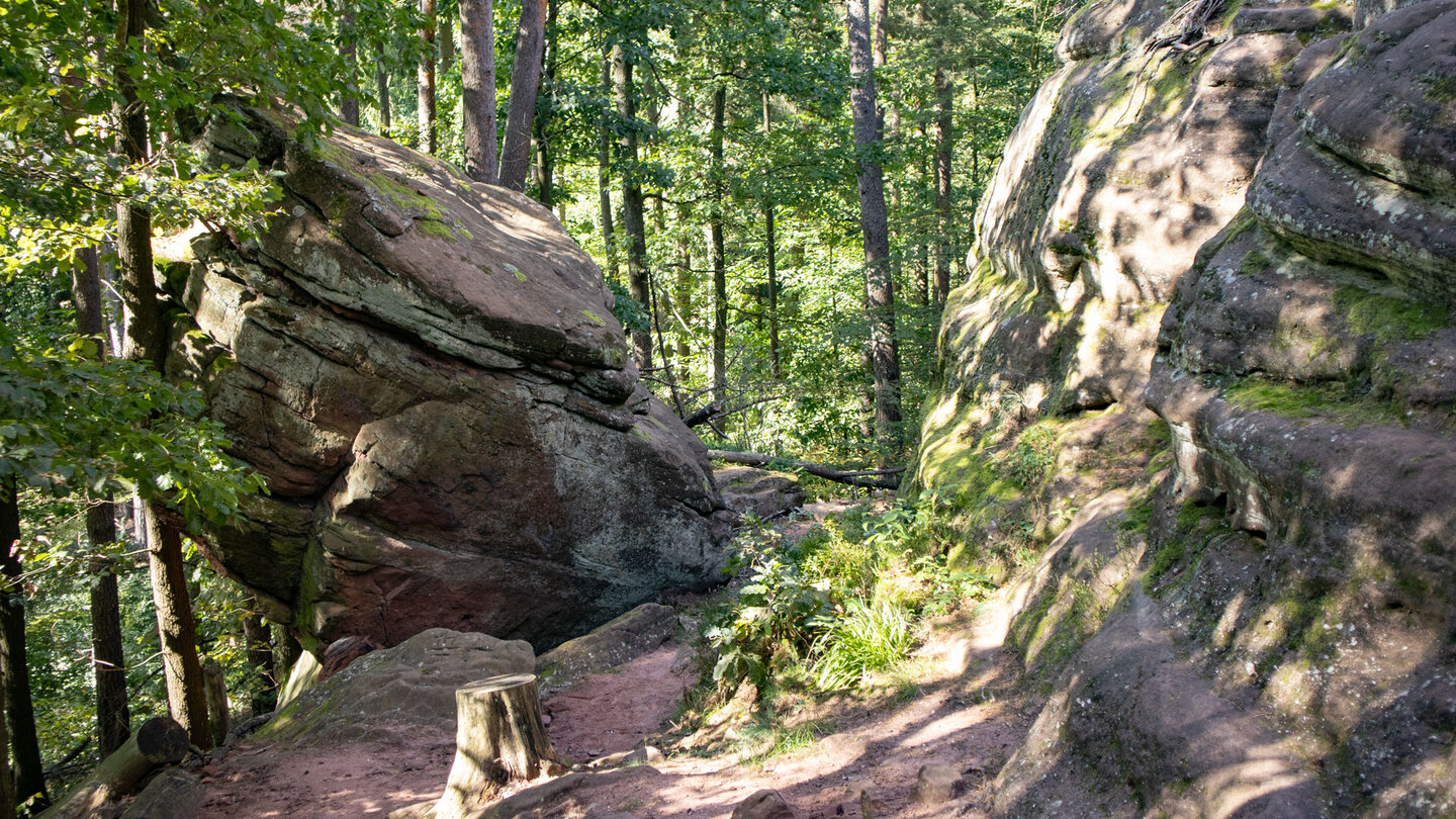 Wanderpfad am Fuße des Hochstein