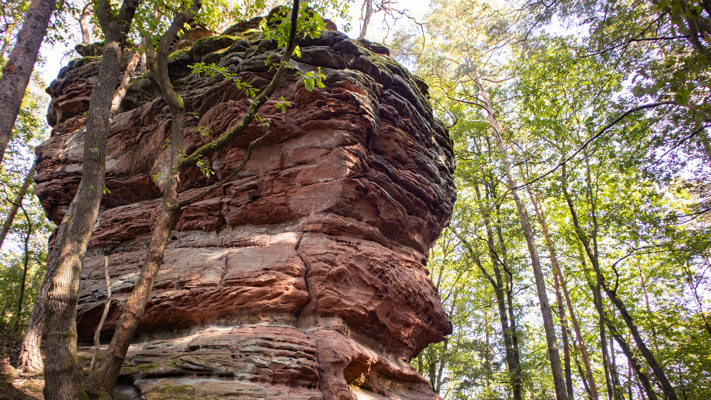 Felsformation am Wanderweg beim Abzweig zum Hochsteinplateau