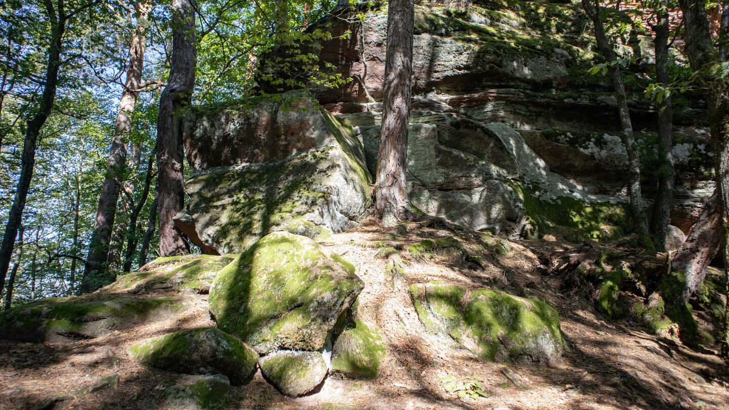 die Wanderroute am Westlichen Schützenfels die Wanderroute am Westlichen Schützenfels