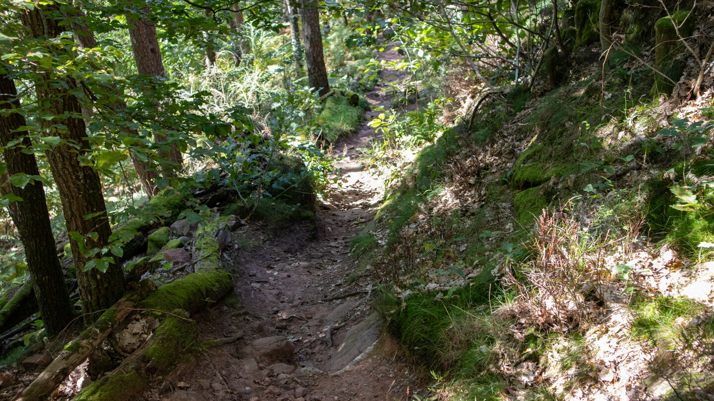 Wanderung unterhalb des Hochstein-Massivs