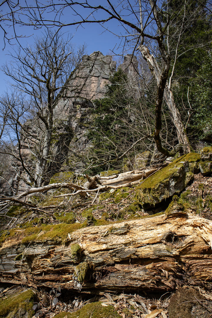 Wanderung durch die Battertfelsen