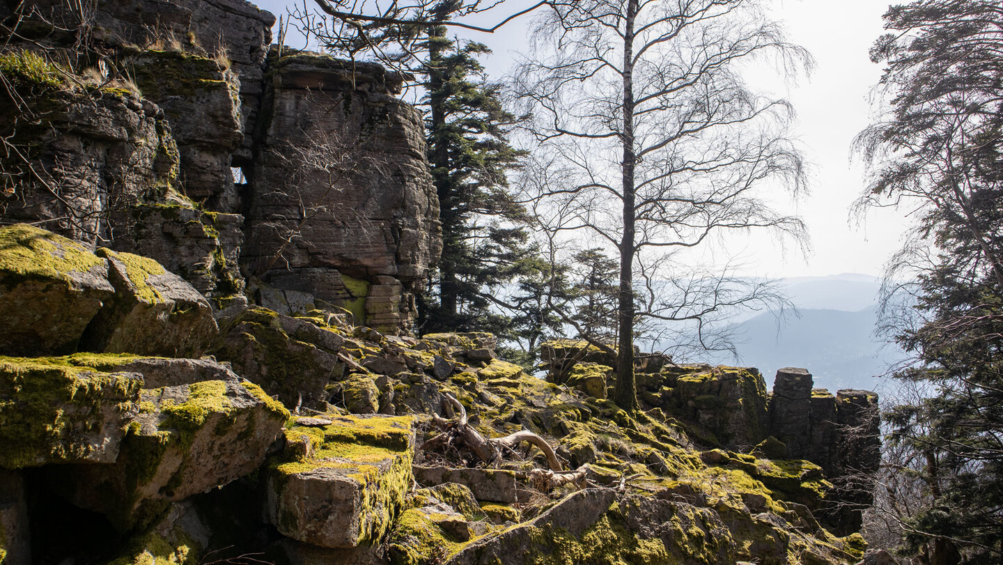 Felslandschaft am oberen Felsenweg