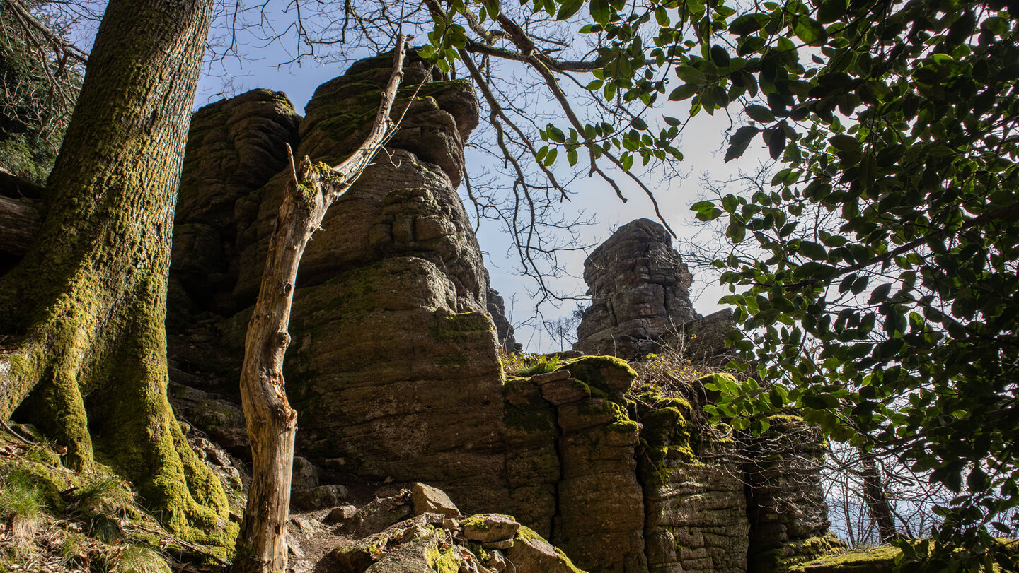Einsiedlerpfad durch die Battertfelsen