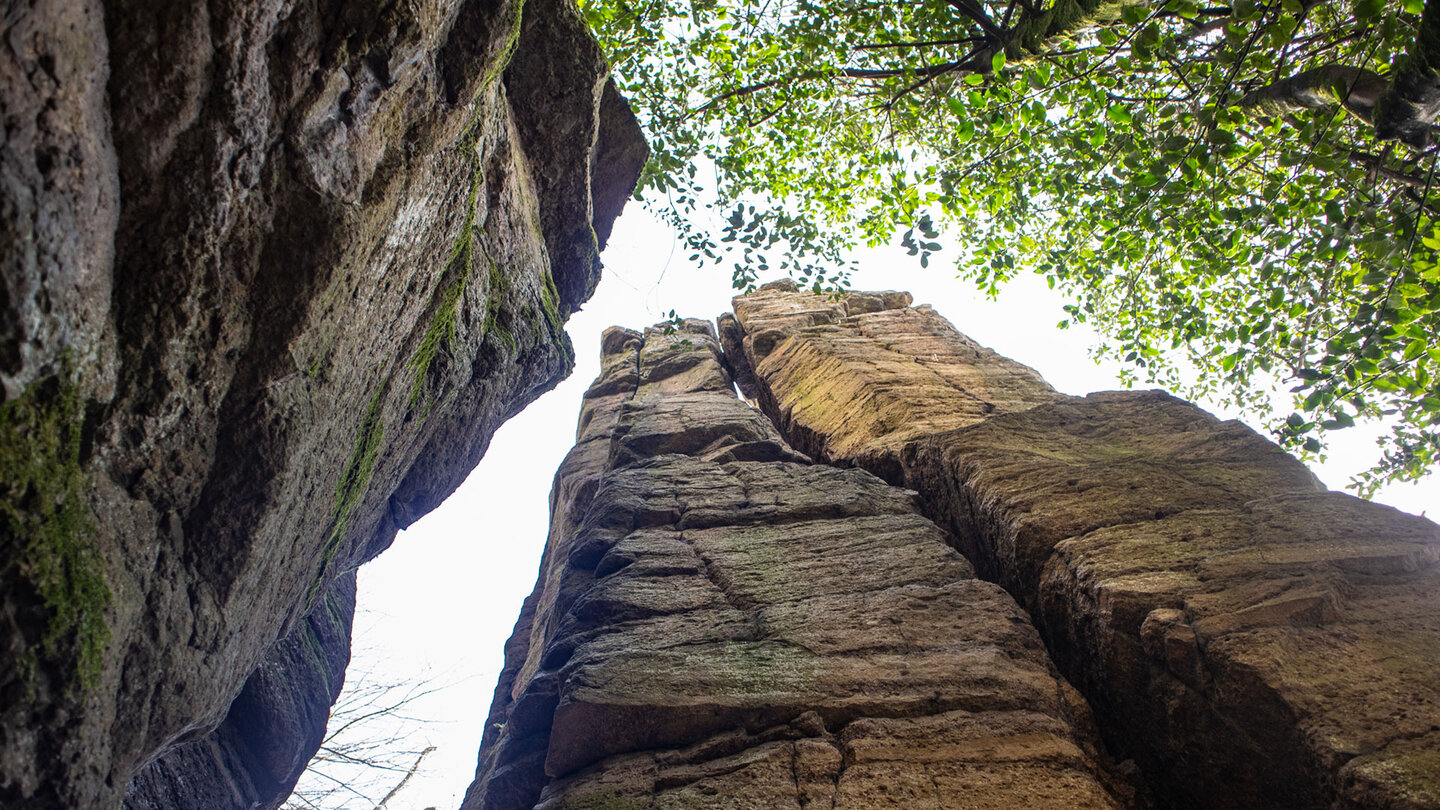 der Beckerturm am Battert