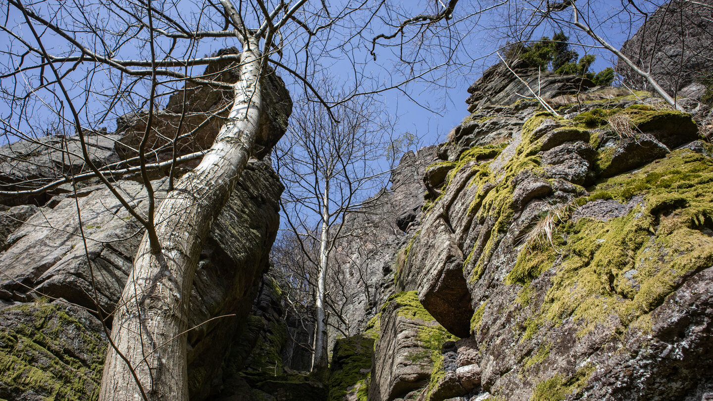 Felsschluchten am Einsiedlerpfad am Battert