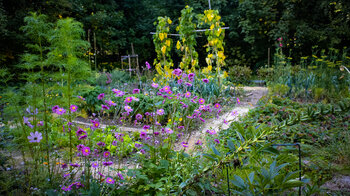 Bauerngarten bei Schloss Hausen im Oberen Donautal