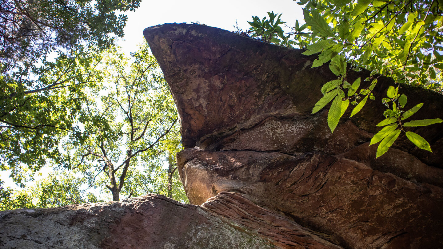 Eine schmale Felsnase ragt am Rödelstein in den Wald hinein.