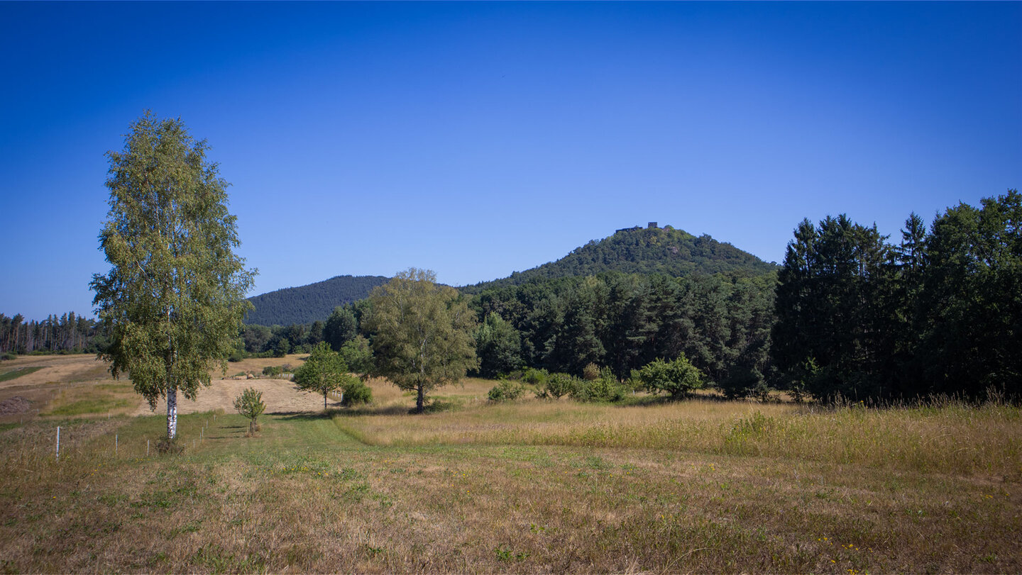 Vom Wanderweg aus bietet sich ein Blick zurück auf die Burgruine Lindelbrunn.