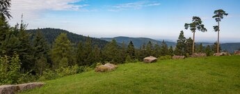 Aussicht von der Hahnenfalzhütte am Westweg