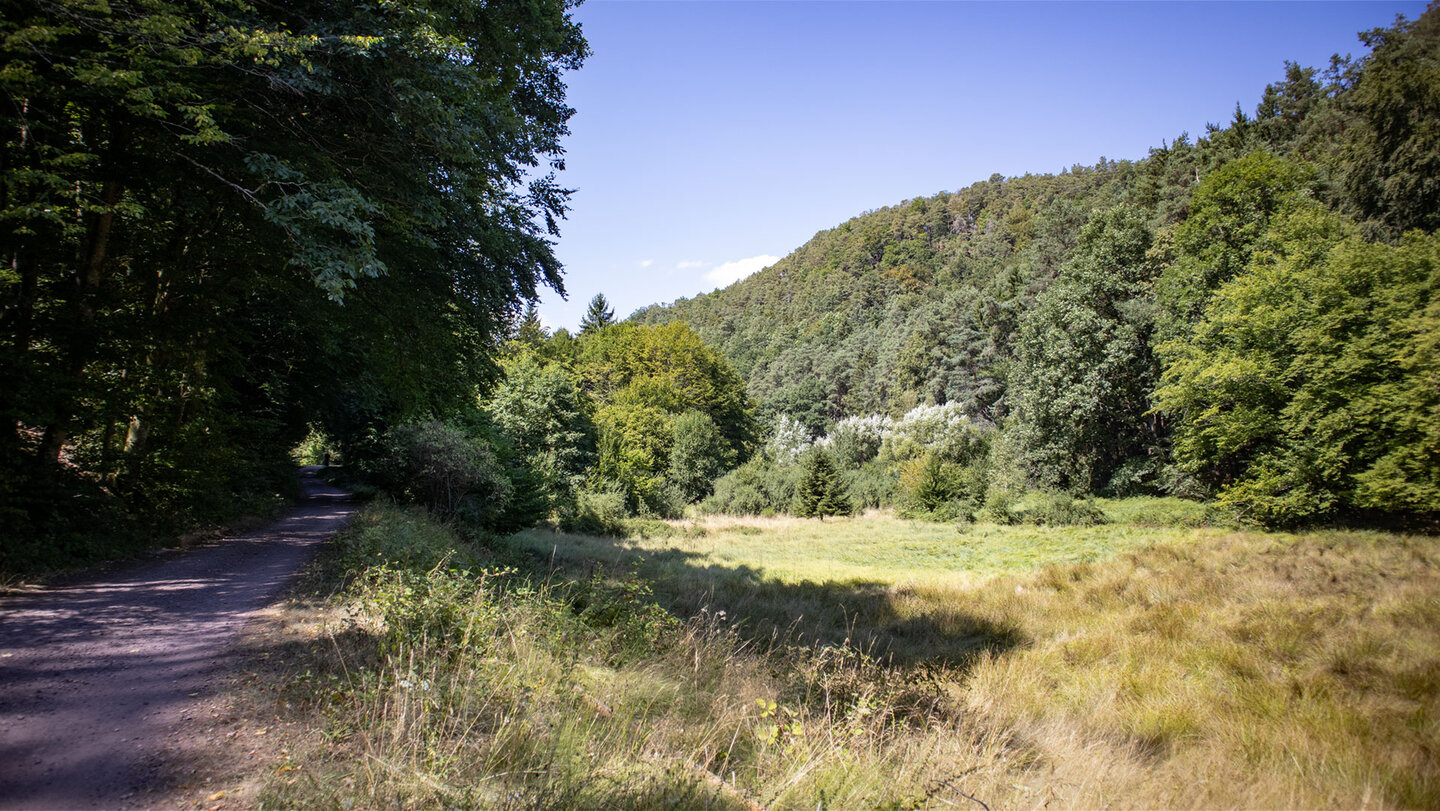 Breiter Waldweg am Rand einer Wiese im Glastal bei Erfweiler, flankiert von dicht bewaldeten Hängen