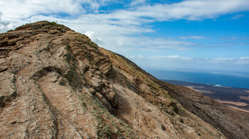 Flechten auf dem hellen Schichtgestein der Montaña Blanca