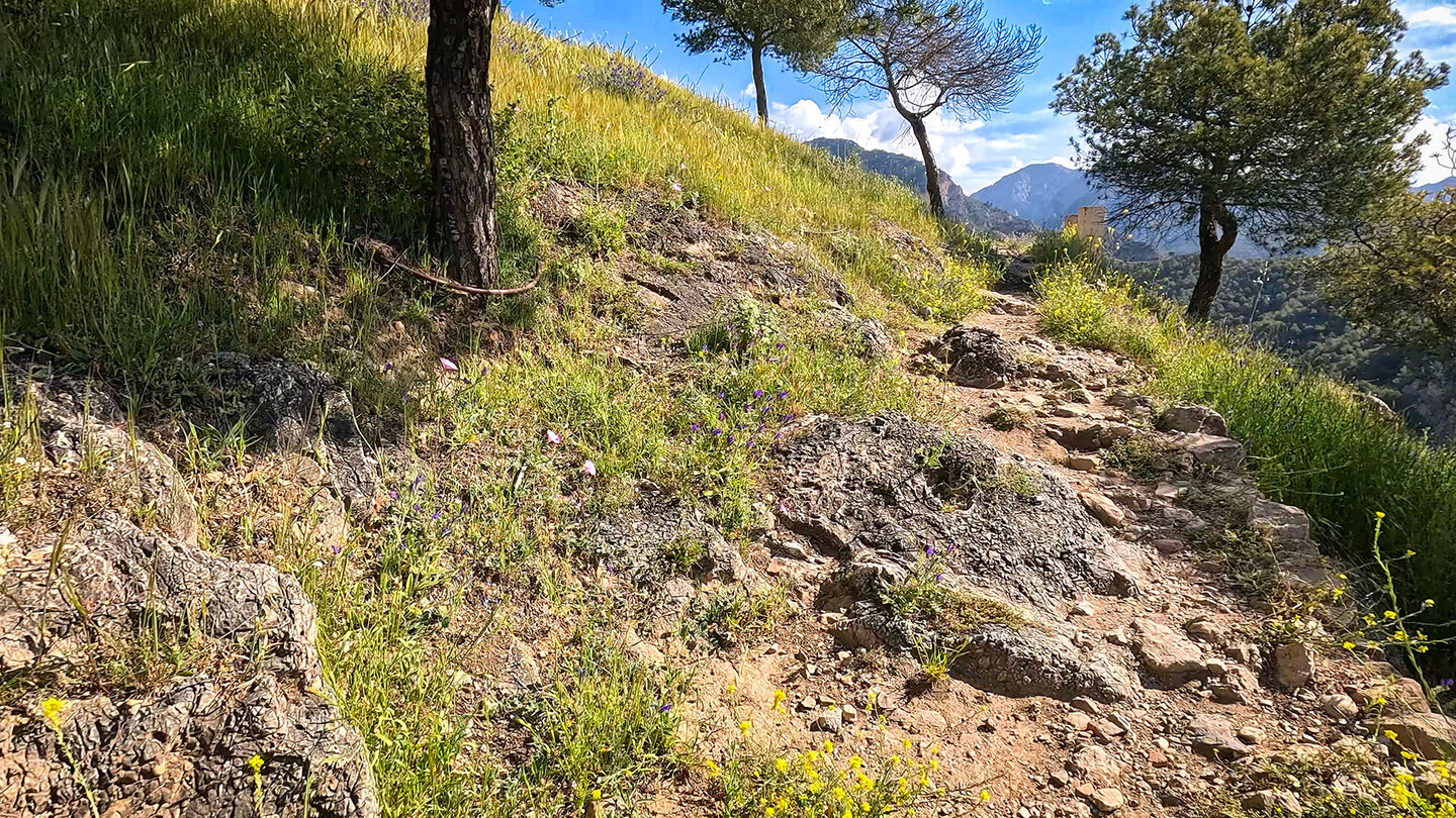 Aufstieg von Frigiliana zum Acequia Lízar Aufstieg von Frigiliana zum Acequia Lízar