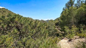 Wanderroute zum Río Higuerón