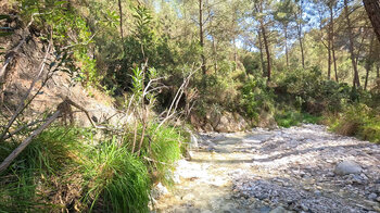 Wandern am Flussbett des Río Higuerón