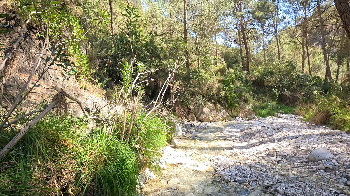 Wandern am Flussbett des Río Higuerón Wandern am Flussbett des Río Higuerón