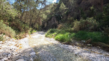 Wandern am Bachlauf des Río Higuerón
